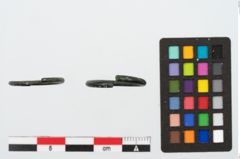 Foto von Bronzering (NHMW-PRAE-025571)